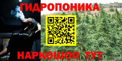 шишки Дмитров