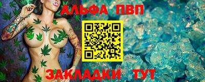 шишки Дмитров