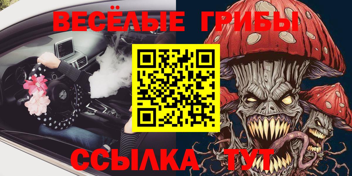 Псилоцибиновые грибы мицелий Кисловодск
